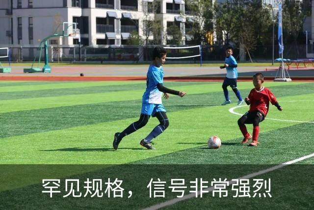 罕见规格，信号非常强烈